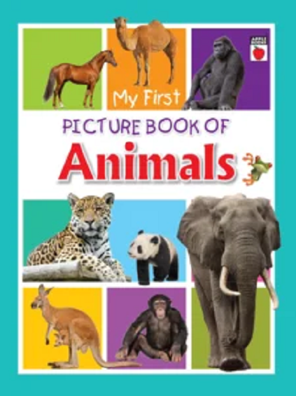 Shop Primary Image Shop Primary Image