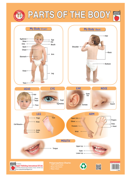 Shop Primary Image